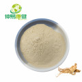 Ginseng Extract Pulver 80% Ginsenoside UV